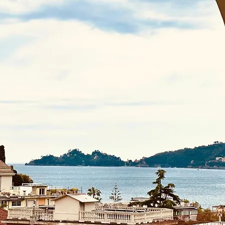 Hotiday Collection -