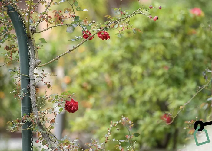 Hotiday Collection - 4* Rapallo